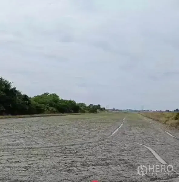 Land for sale in Lam Luk Ka, Pathum Thani - Wide, levelled land plot with long straight tracks and a tree line under a cloudy sky in Lam Luk Ka.