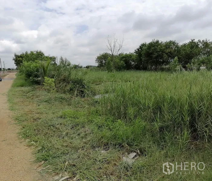 ที่ดิน ขายในBan Pho, Chachoengsao - มุมแปลงที่มีหญ้าสูงและต้นไม้ ริมทางดินชนบท