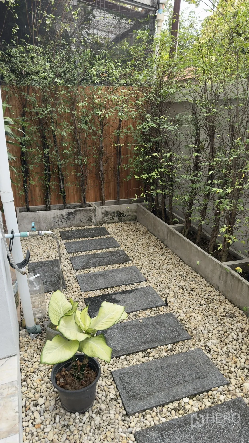 ทาวน์เฮาส์ for rent in Watthana, Bangkok - สวนแคบมีทางเดินแผ่นทางเท้า พื้นกรวด และแนวต้นไม้ในกระบะ