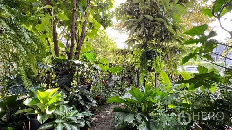 บ้าน ให้เช่าหรือขายในBang Khen, Bangkok - สวนร่มรื่นสไตล์ทรอปิคัล ทางเดินอิฐและพรรณไม้นานาชนิด