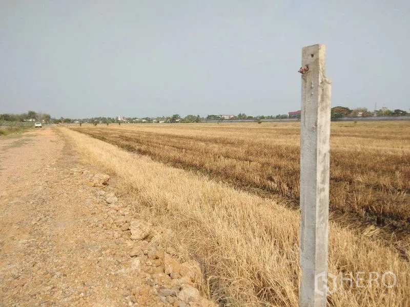 ที่ดิน ขายในLam Luk Ka, Pathum Thani - เสาปูนแสดงแนวเขตข้างแปลงที่ดินโล่งและทางเข้าในวันที่ท้องฟ้าโปร่ง