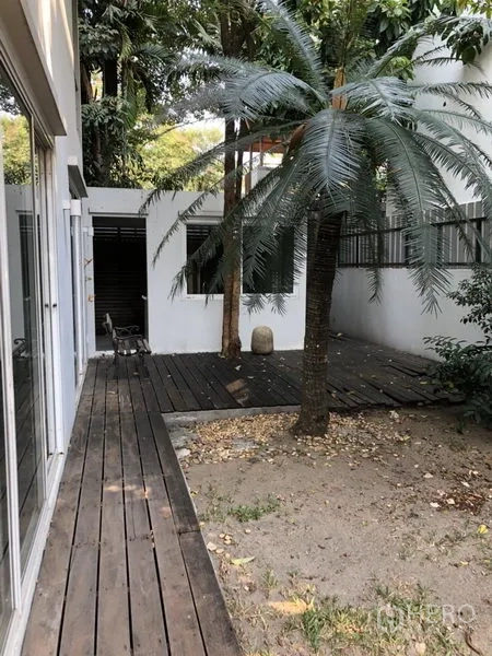 Detached House for rent in Chatuchak, Bangkok - Side garden with palm tree, wooden deck and sliding glass doors beside the house.