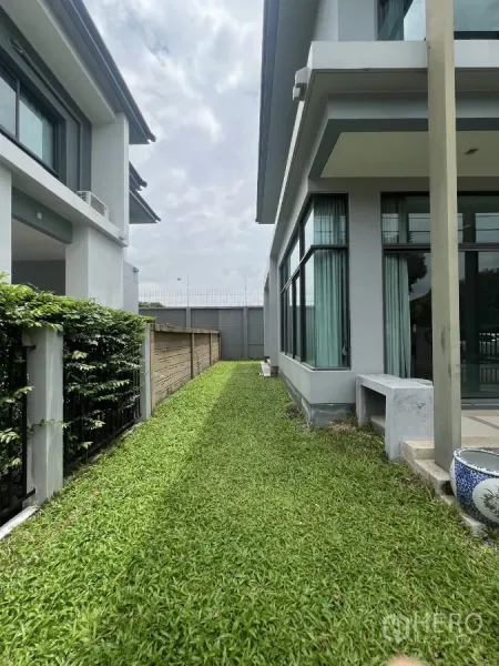 Detached House for rent in Bang Kapi, Bangkok - Long side lawn bordered by hedge and large corner windows.