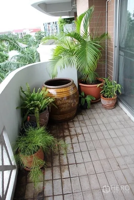 Condominium for sale in Wang Thonglang, Bangkok - Balcony corner showcasing potted tropical plants.