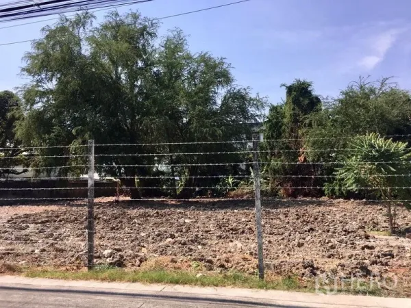ที่ดิน ให้เช่าในBang Na, Bangkok - รั้วลวดหนามล้อมแปลงที่ดินปรับระดับ มีต้นไม้ใหญ่ด้านหลัง