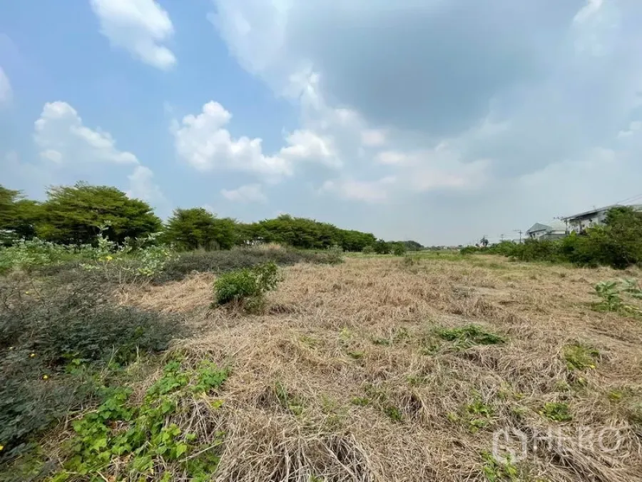 Land for sale in Lam Luk Ka, Pathum Thani - Expansive vacant land with dry grass, a tree line and open sky in Lam Luk Ka, Pathum Thani.