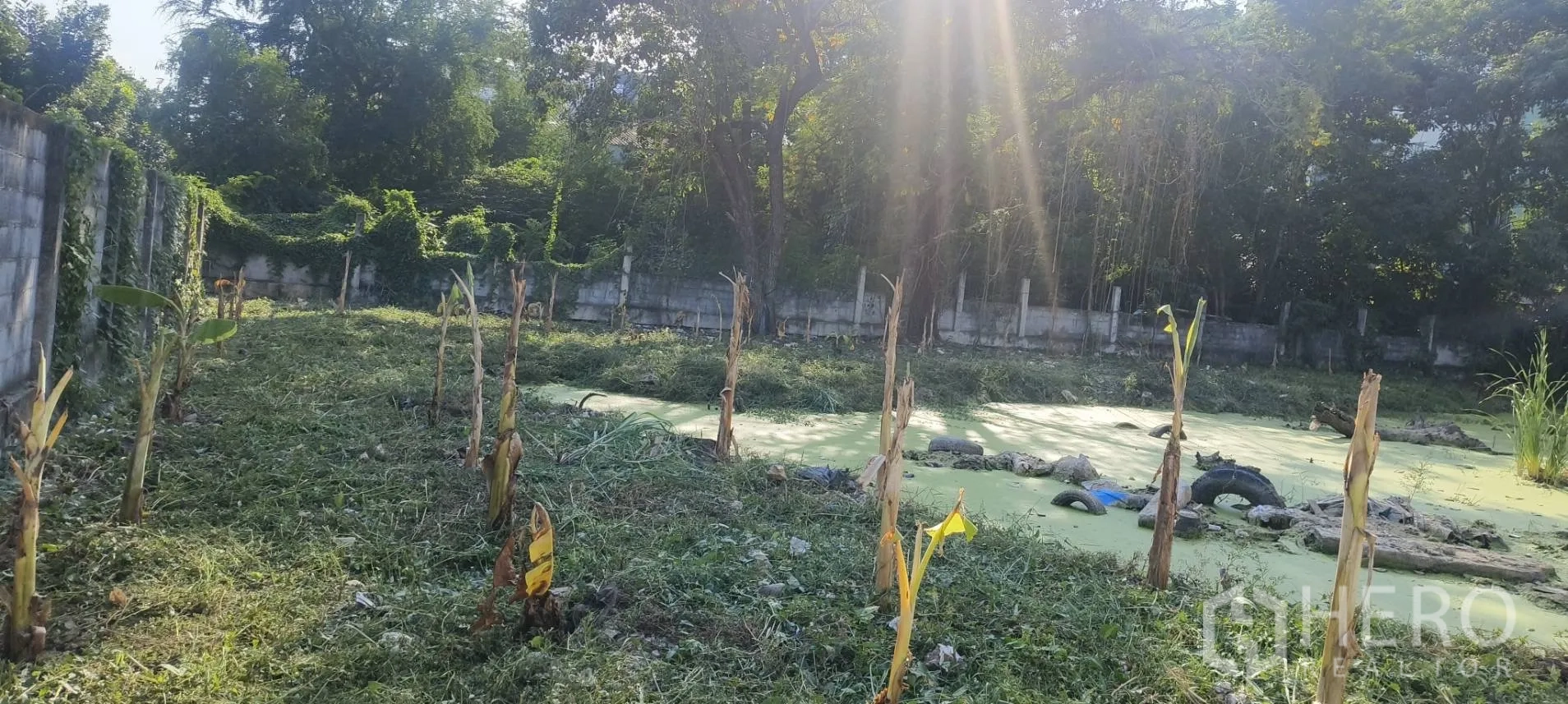 Land for sale in Mueang Samut Prakan, Samut Prakan - Fenced land plot with a small pond and mature trees along the boundary.