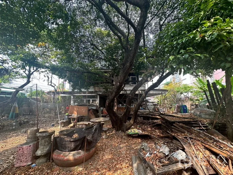 คลังสินค้า ให้เช่าในWatthana, Bangkok - สวนหลังบ้านมีต้นไม้ใหญ่และวัสดุกองอยู่หลังอาคาร