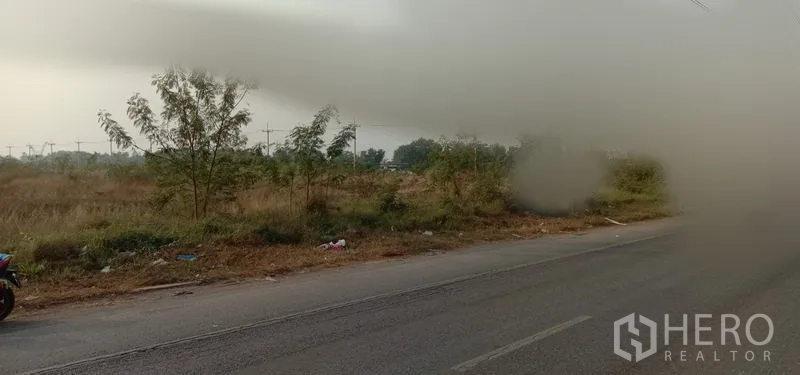 Land for sale in Wang Noi, Phra Nakhon Si Ayutthaya - Wide view of undeveloped land along a paved two-lane road with young trees and power poles in Wang Noi.