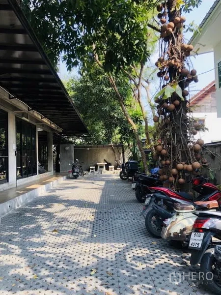 อาคารพาณิชย์ ให้เช่าในChatuchak, Bangkok - ลานจอดรถปูพื้นพร้อมมอเตอร์ไซค์ ใต้ร่มไม้ ข้างอาคารกระจก