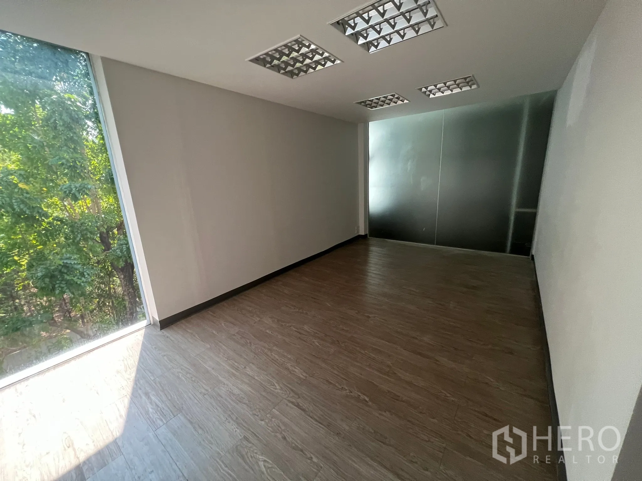 พื้นที่ขายปลีก ให้เช่าในWatthana, Bangkok - ห้องทำงานสว่าง หน้าต่างบานใหญ่เห็นต้นไม้ และผนังกระจกฝ้า