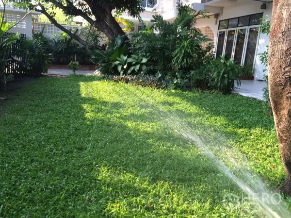 独立式住宅 出租在Khlong Toei, Bangkok - 私家庭院草坪，成树与露台相伴。