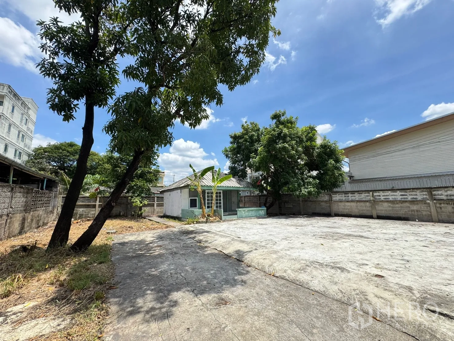 Detached House for rent in Mueang Samut Prakan, Samut Prakan - Single-storey house on a large open plot with mature trees and a wide concrete area.