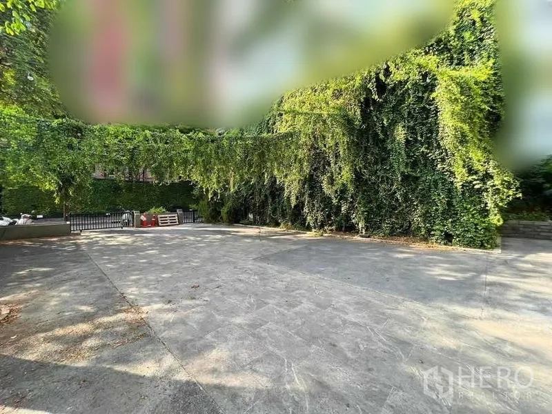 พื้นที่ขายปลีก ให้เช่าในPhaya Thai, Bangkok - ลานกว้างปูพื้น พร้อมเถาวัลย์เขียวให้ร่มเงา