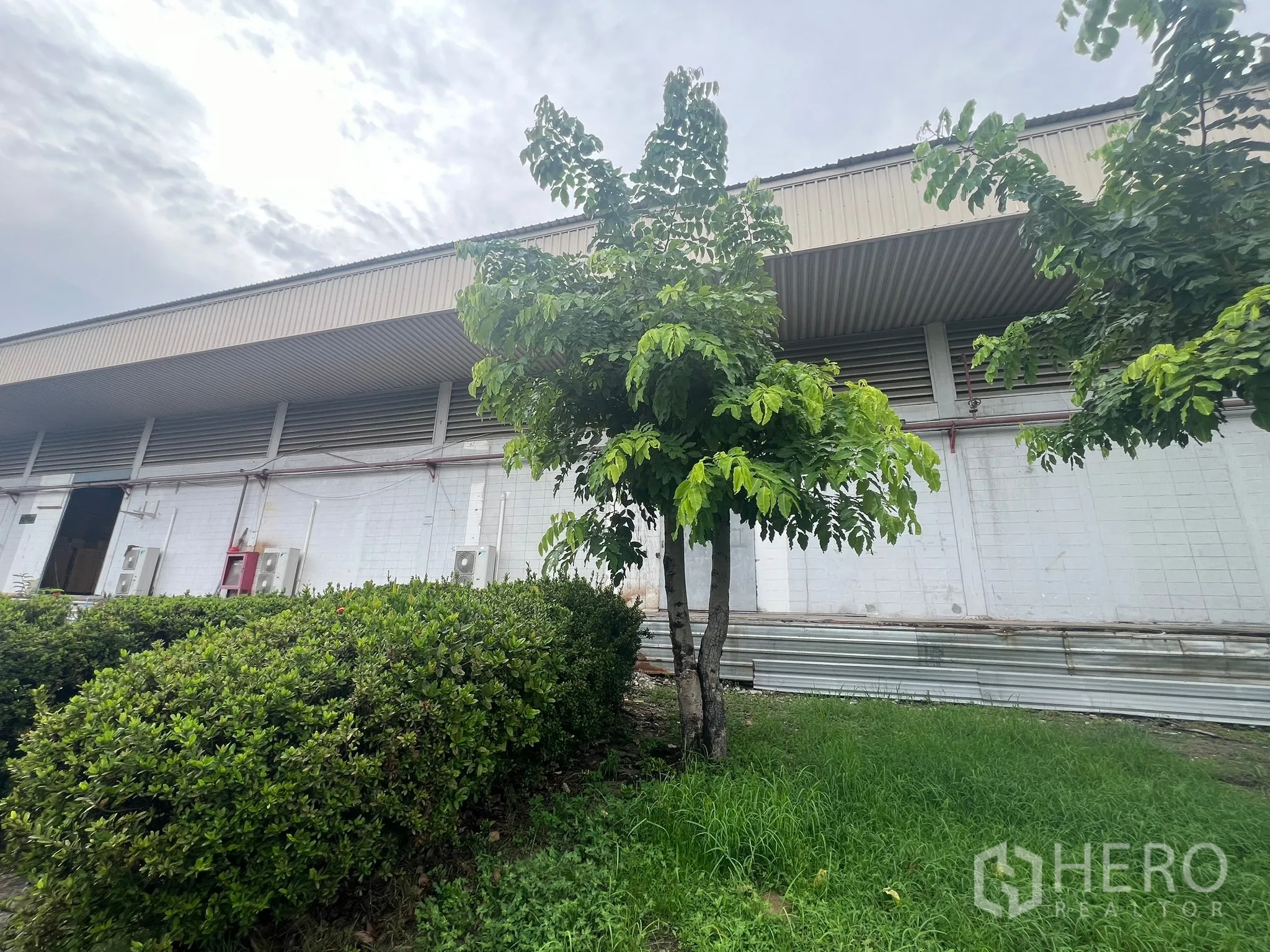 Factory for rent in Bang Pakong, Chachoengsao - Landscaped greenery with trees and shrubs beside the factory building facade.
