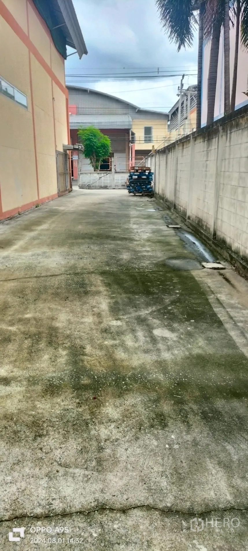 โรงงาน ให้เช่าในKhlong Luang, Pathum Thani - ลานคอนกรีตด้านข้างล้อมรั้ว เหมาะสำหรับขนถ่ายและจอดรถ