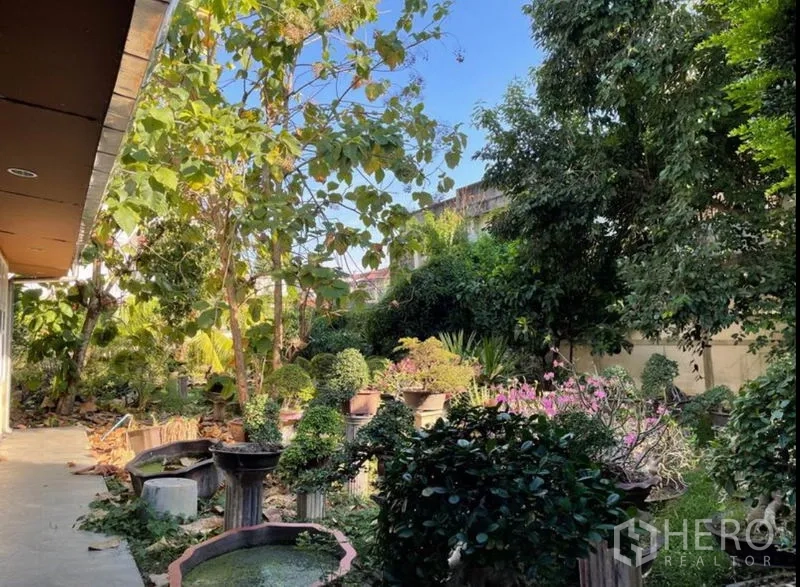 Detached House for rent in Khlong Toei, Bangkok - View across mature walled garden with planters, shrubs and tall trees.