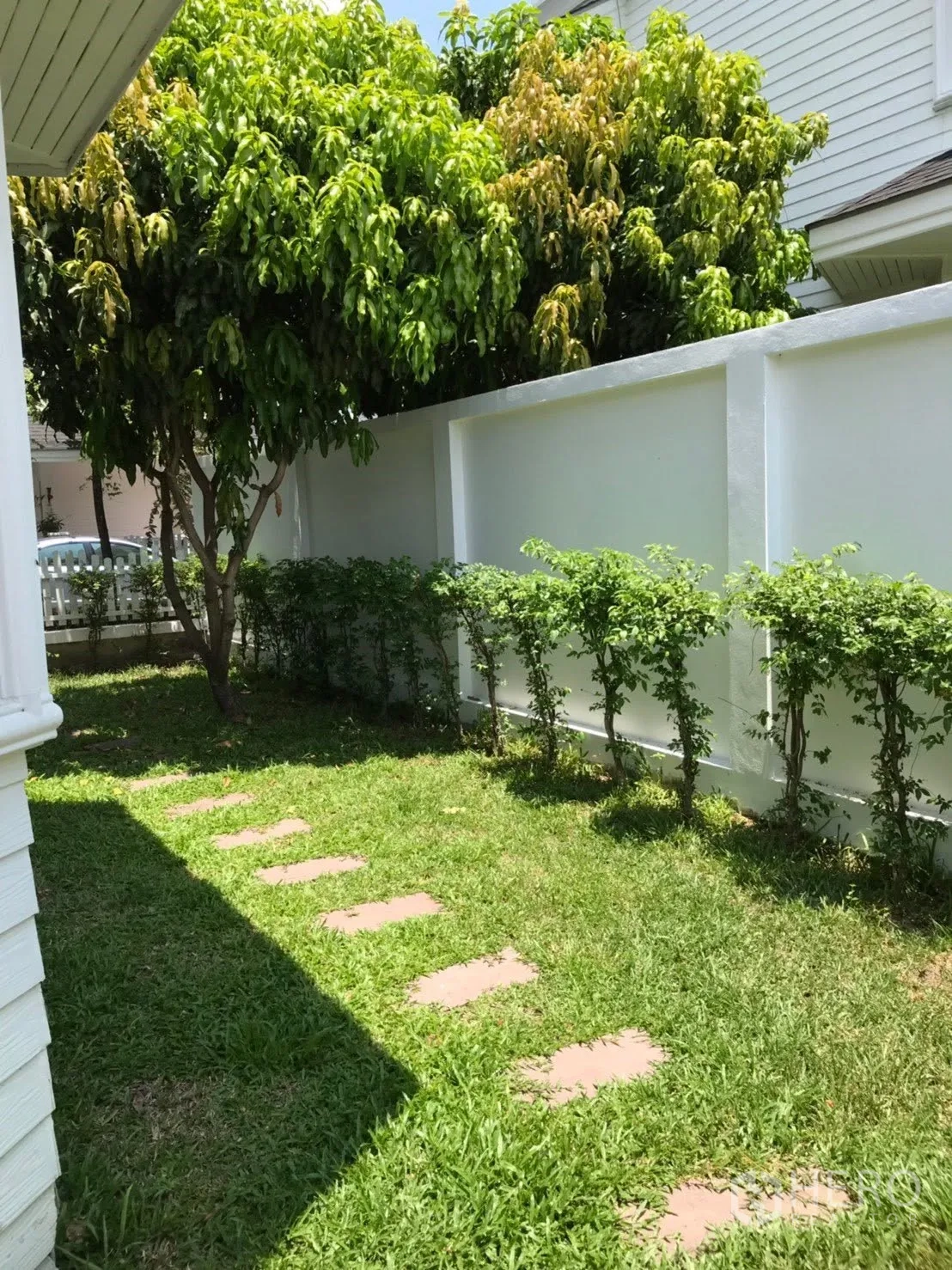 Detached House for rent in Mueang Samut Prakan, Samut Prakan - Private garden with grass lawn, stepping stones, hedge and a mature tree.