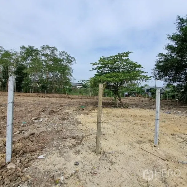 Land for rent in Lam Luk Ka, Pathum Thani - Leveled soil with boundary posts and wire fencing, a single shade tree and houses in the distance.