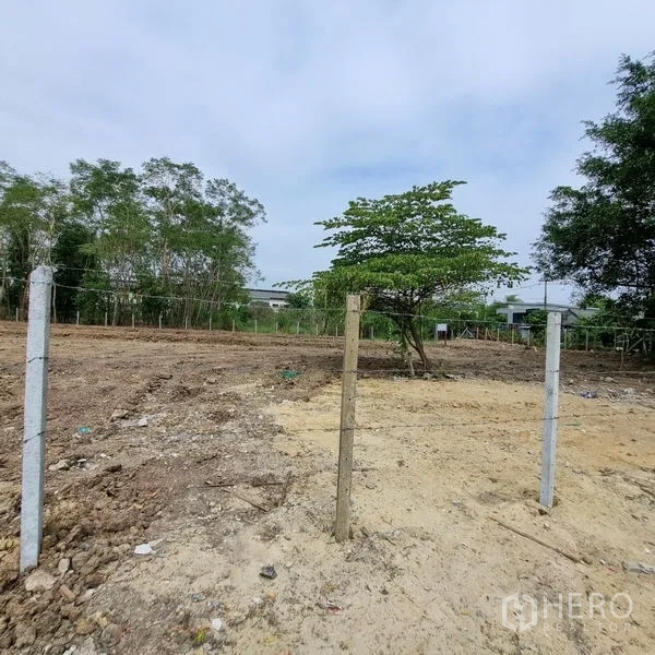 Land for rent in Lam Luk Ka, Pathum Thani - Leveled soil with boundary posts and wire fencing, a single shade tree and houses in the distance.