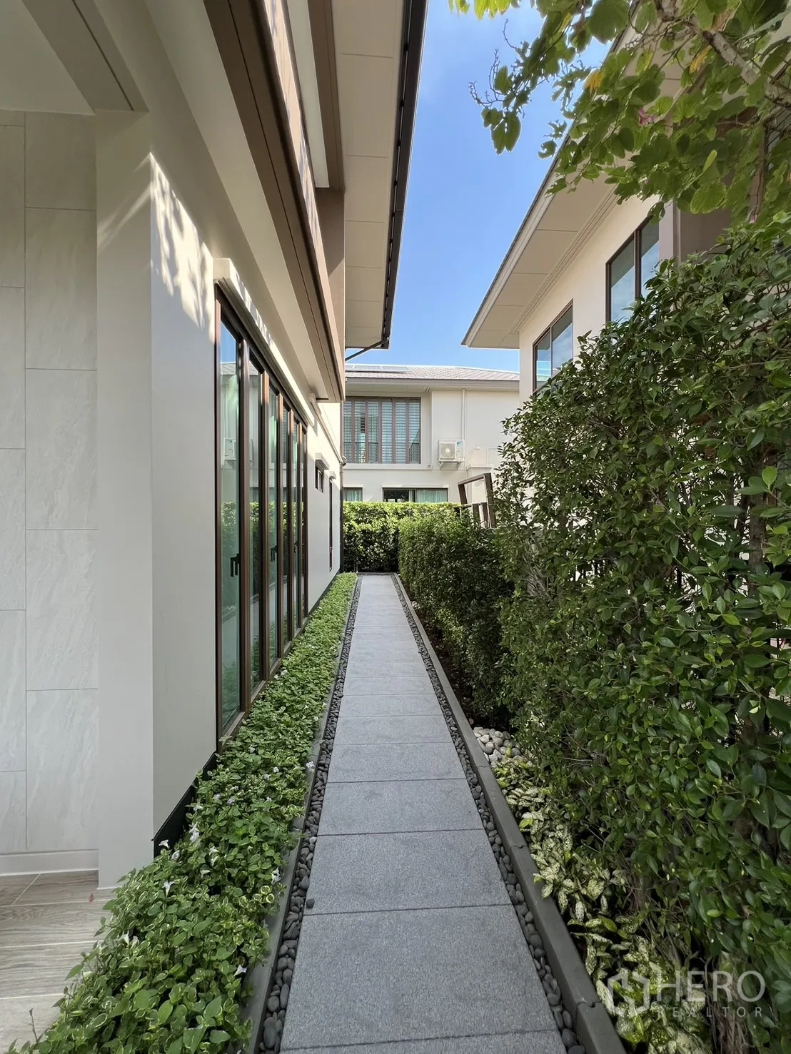 Detached House for rent or sale in Bang Kapi, Bangkok - Narrow garden walkway bordered by hedges and tall windows.