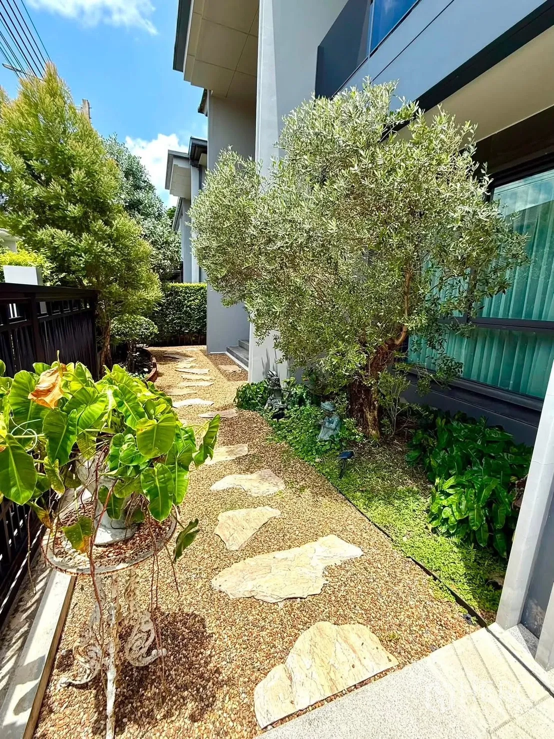 บ้านเดี่ยว for rent in Bang Kapi, Bangkok - สวนข้างบ้านมีทางเดินกรวด แผ่นหิน และต้นไม้ใหญ่.