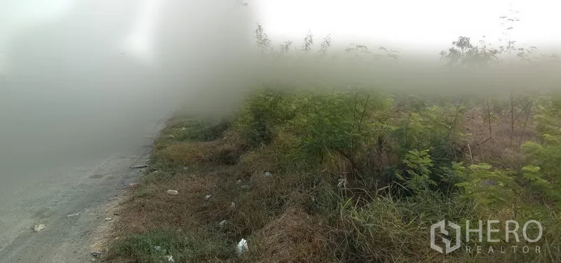 Land for sale in Wang Noi, Phra Nakhon Si Ayutthaya - Close-up of grassy plot with shrubs beside the asphalt road, showing flat terrain suitable for development.