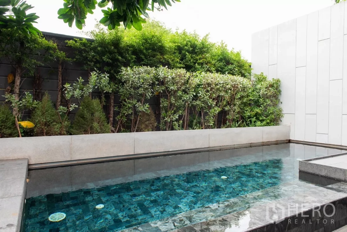 ทาวน์เฮาส์ ให้เช่าในLat Phrao, Bangkok - สระว่ายน้ำส่วนตัวขนาดกะทัดรัด รายล้อมด้วยต้นไม้และกำแพงสูง