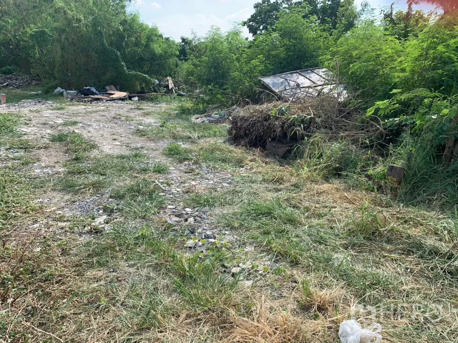 Land for sale in Lam Luk Ka, Pathum Thani - Vacant land in Lam Luk Ka with a gravel access strip, overgrown shrubs, and light debris under bright daylight.