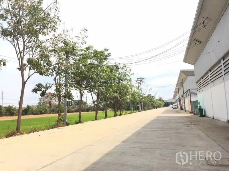 Warehouse for rent in Sai Noi, Nonthaburi - Tree-lined service road beside a green field and a row of warehouses for smooth circulation.
