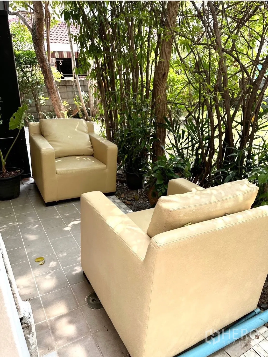 Detached House for rent in Saphan Sung, Bangkok - Shaded patio with two cream armchairs surrounded by trees and plants.