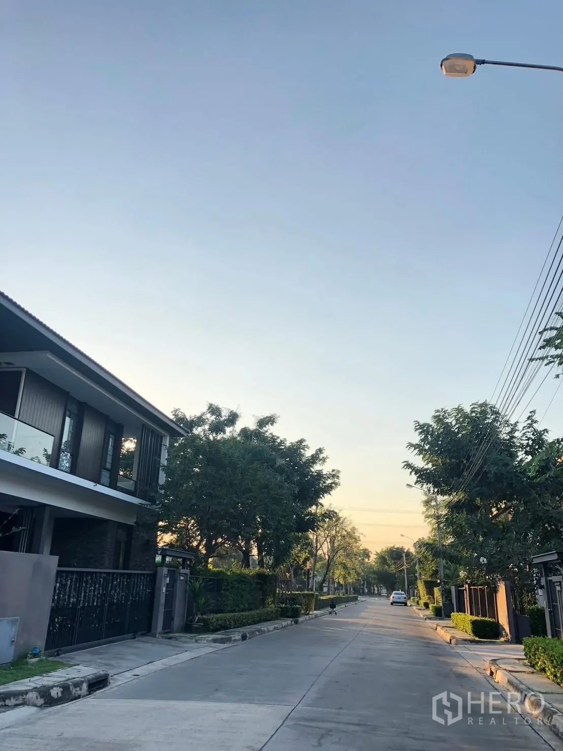 บ้านเดี่ยว for rent in Prawet, Bangkok - ถนนที่อยู่อาศัยสองฝั่งมีบ้านสมัยใหม่และต้นไม้เรียงราย