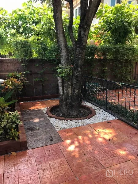 Detached House for sale in Pak Kret, Nonthaburi - Close-up of tree base set in white pebbles and terracotta paving.