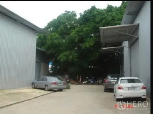 คลังสินค้า ให้เช่าในSai Mai, Bangkok - ทางสัญจรระหว่างตัวโกดัง มีที่จอดรถและต้นไม้ใหญ่ให้ร่มเงา