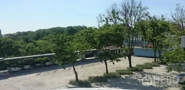 Office Space for rent in Bangkok - Tree-lined on-site parking area with covered bays beside an office building in Prawet, Bangkok.