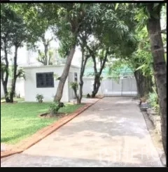 独立式住宅 出租在Phra Khanong, Bangkok - 树荫下的车道通向大门，私家花园草坪与成树环绕。