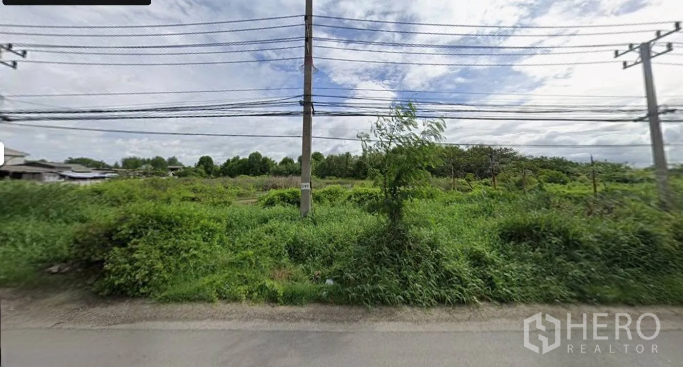 ที่ดิน for sale in Bang Pakong, Chachoengsao - ที่ดินปกคลุมด้วยพืชพรรณ มองจากริมถนน เห็นสายไฟและเสาคอนกรีตอยู่กึ่งกลางภาพ