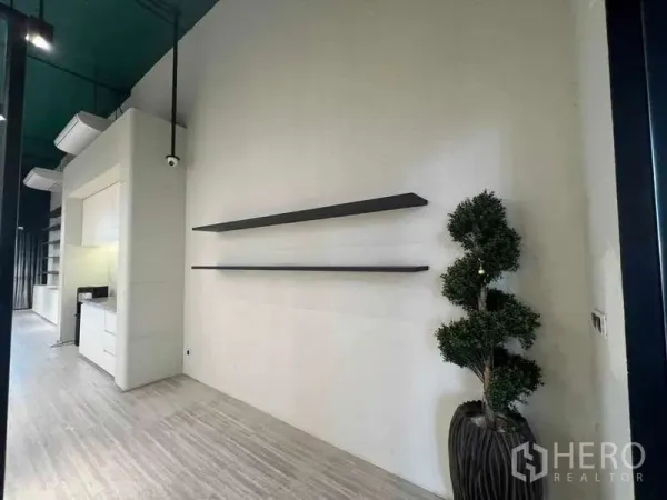 Retail Space for rent - Open wall with floating shelves, high ceilings, track lighting, and a decorative potted plant in the retail space.