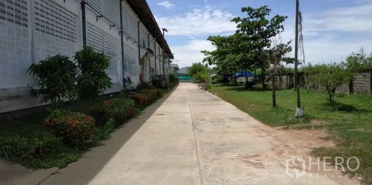 Factory for rent in Chachoengsao - Concrete walkway with landscaping and trees along the side of the factory building.