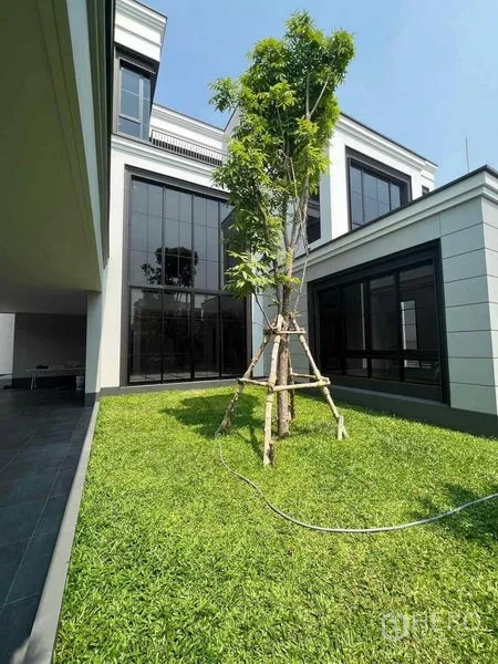 独立式住宅 出售在Saphan Sung, Bangkok - 中央草坪庭院，栽有新树，四周是大面积玻璃窗。