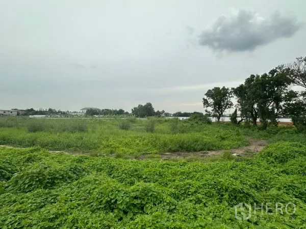 ที่ดิน ขายในSai Mai, Bangkok - มุมมองกว้างของที่ดินหญ้าขึ้นเขียว พร้อมแนวต้นไม้และขอบฟ้าโล่งในสายไหม กรุงเทพฯ