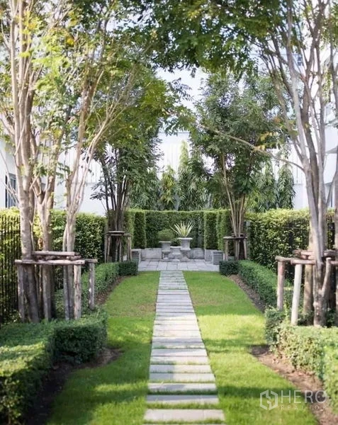 ทาวน์เฮาส์ ให้เช่าในPhra Khanong, Bangkok - ทางเดินสวนจัดภูมิทัศน์ ล้อมด้วยต้นไม้และพุ่มไม้