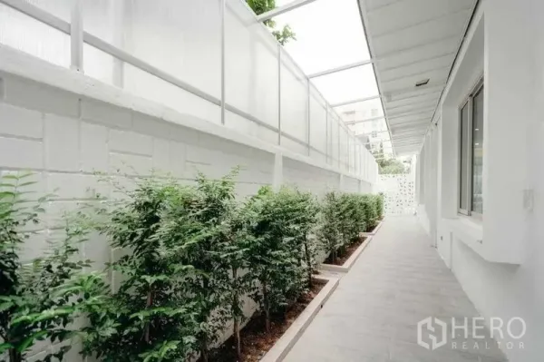 บ้าน ขายในWatthana, Bangkok - ทางเดินข้างบ้านมีหลังคาพร้อมแปลงต้นไม้ริมกำแพงสีขาว