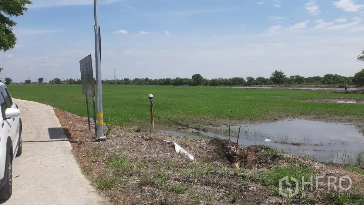 Land for sale in Samut Prakan - Concrete lane with utility poles beside an expansive paddy field and drainage ditch in Bang Bo.
