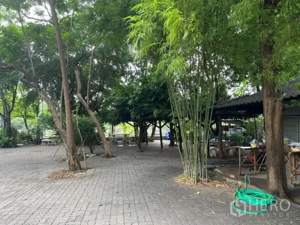 Office Space for rent in Mueang Samut Prakan, Samut Prakan - Shaded courtyard with mature trees, bamboo and stone seating at an office complex in Mueang Samut Prakan.
