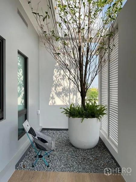 บ้าน ให้เช่าหรือขาย - ลานภายในบ้าน มีต้นไม้กระถางใหญ่ ฉากระแนง และพื้นโรยกรวด