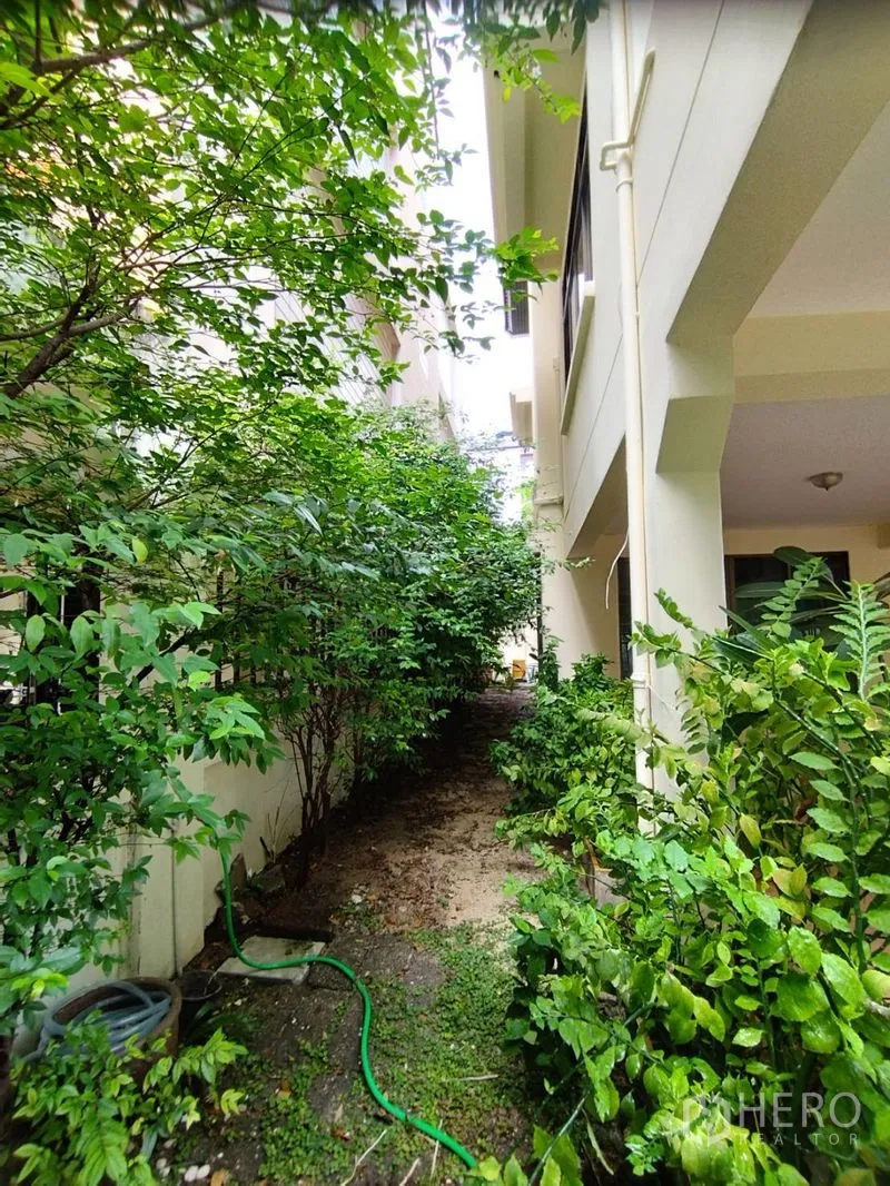 บ้าน ให้เช่าในWatthana, Bangkok - สวนข้างบ้านทางเดินแคบ มีพุ่มไม้หนาทึบตลอดแนว