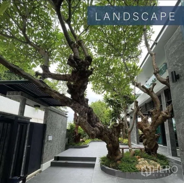 独立式住宅 出售在Khlong Toei, Bangkok - 景观庭院，巨型鸡蛋花树与房侧铺装步道。