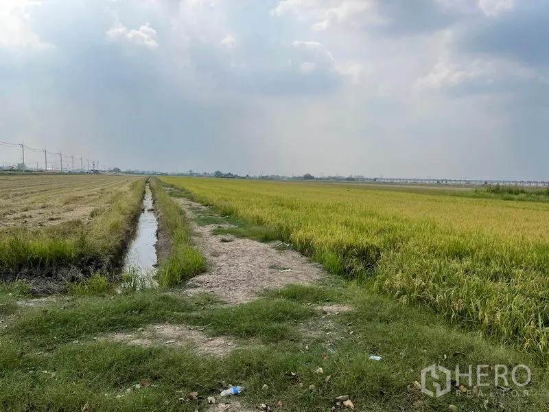 Land for sale in Lam Luk Ka, Pathum Thani - Dirt path between rice fields with a narrow irrigation canal and utility lines along the boundary.