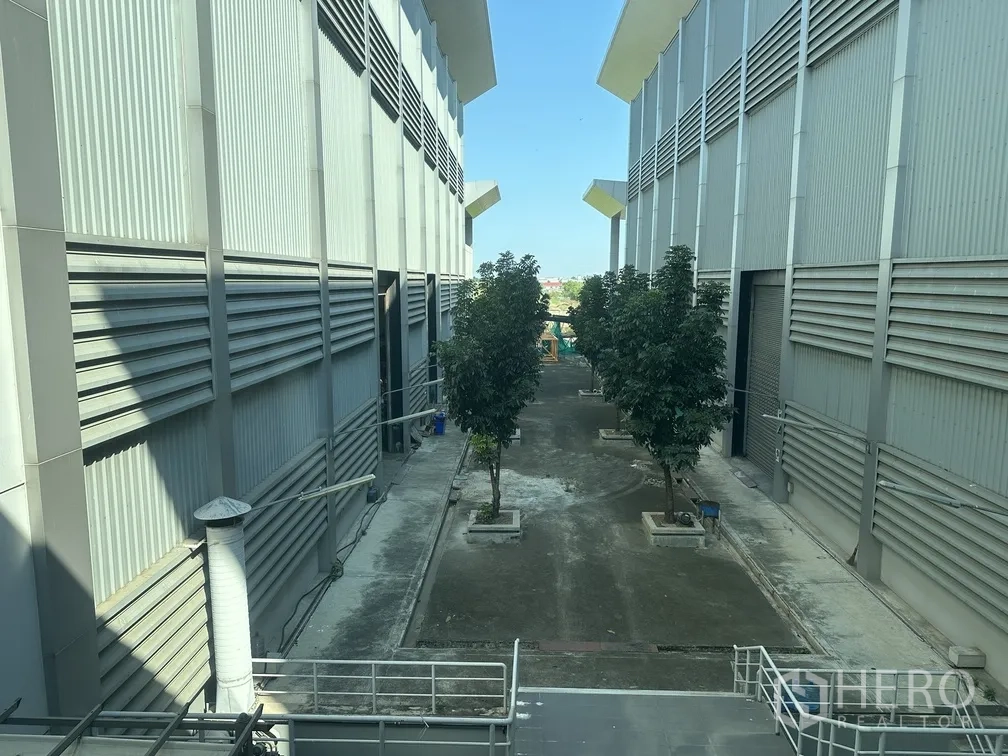 Factory for rent in Lam Luk Ka, Pathum Thani - Tree-lined service lane between two high-bay factory buildings.